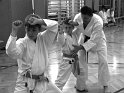 Dojo 2013-51